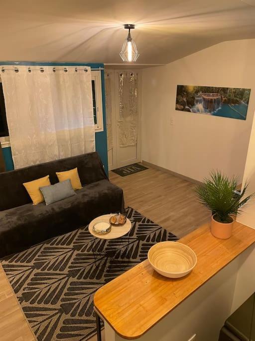 Apartament Les Cles Du Bonheur, Entre Mer & Montagne Trois Bassins Zewnętrze zdjęcie